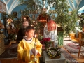 DSC03520_1