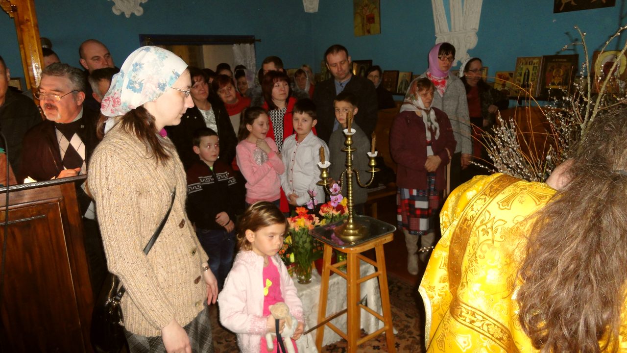 DSC04586_1
