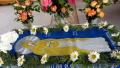 DSC06874_1_1