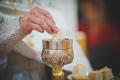 20230416dsc8968rahanfoto_1