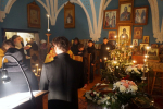 DSC03952-vec_1