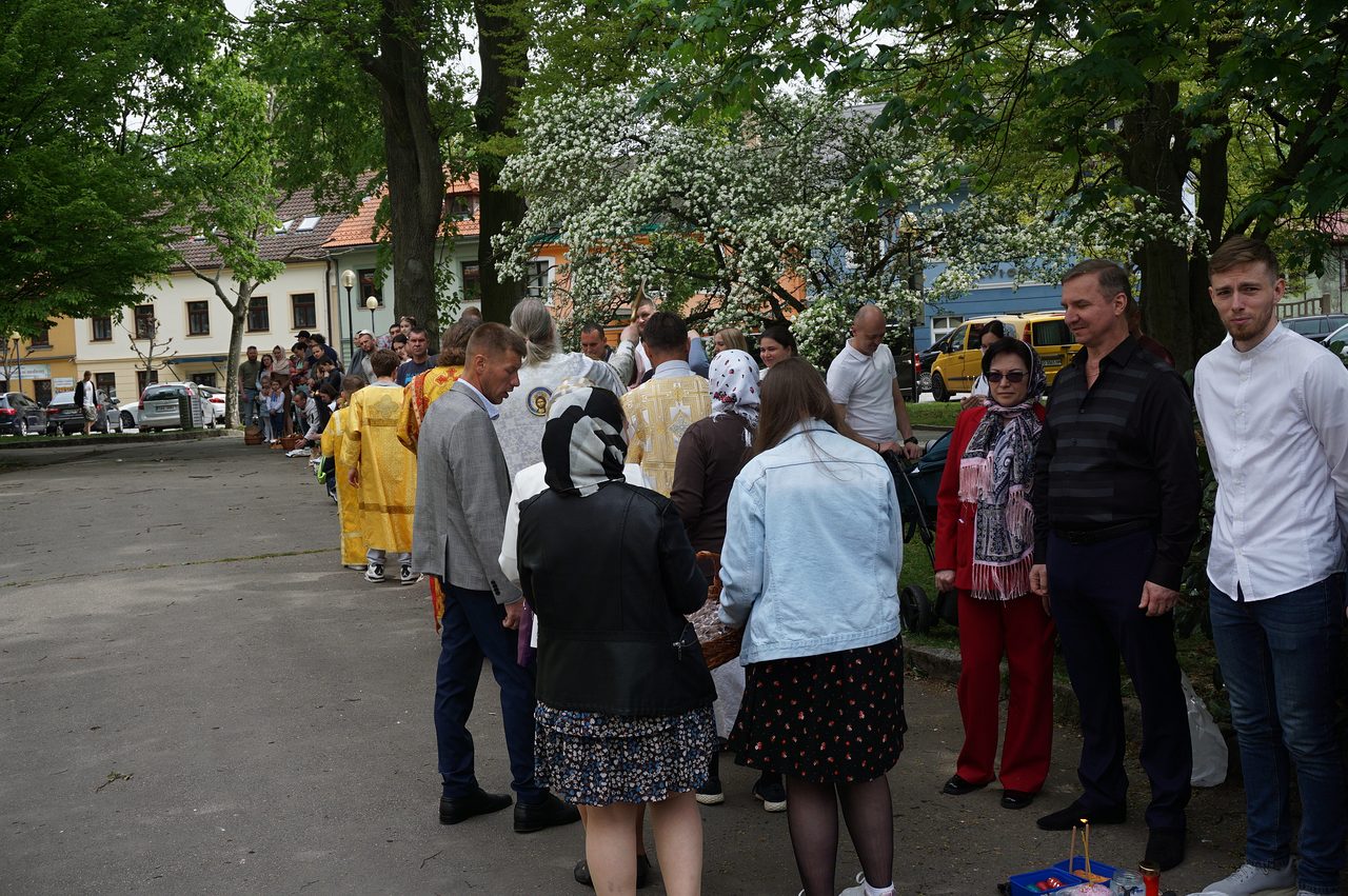 290-DSC06305_1