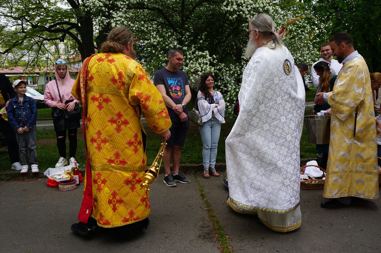 295-DSC06311_1
