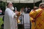 250-DSC06245_1