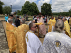 501-IMG_8645_1