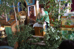 2024-06-23-50-jihlava-DSC07196_1_1