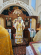 50-IMG_0201_1