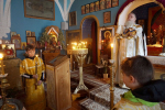 DSC08232_1_1
