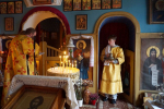 DSC08242_1_1