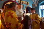 DSC08259_1_1