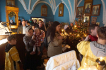 DSC08273_1_1
