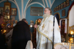 DSC08282_1_1