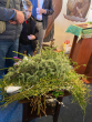 IMG-20250413-WA0013