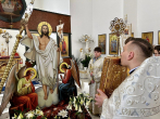 brno-pasch-vec-015-490135672_1