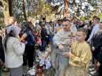 brno-pasch-vec-045-490960475_1