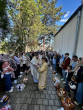 brno-pasch-vec-050-489926169_1