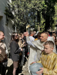 brno-pasch-vec-055-490352045_1