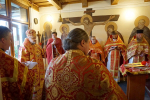DSC00799_1