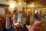DSC00803_1