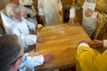DSC01254_1