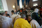 DSC01631_1