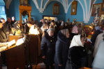 DSC02229_1