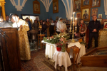 DSC02331_1