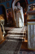 DSC02501_1