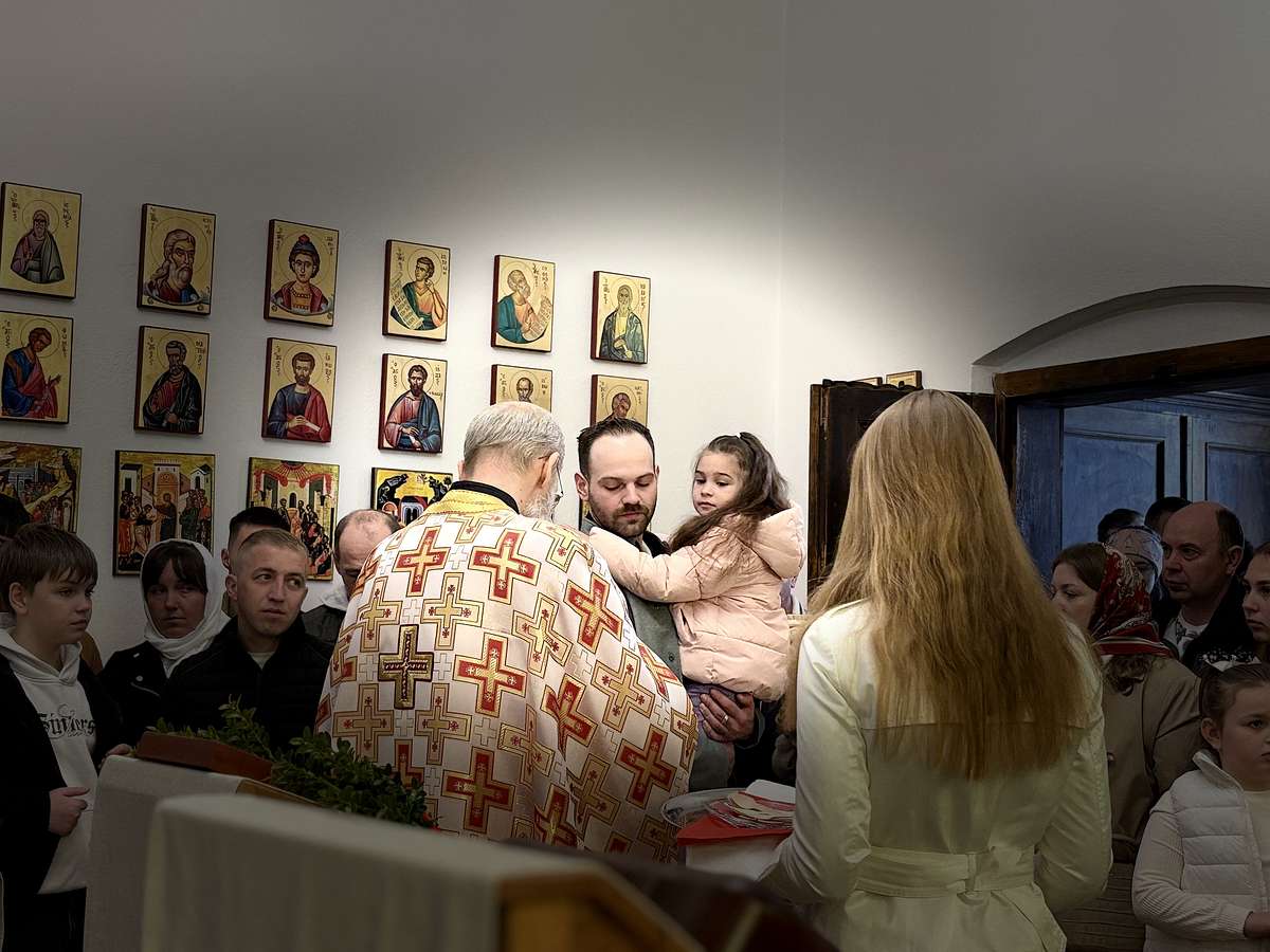IMG_6926_MP