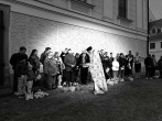 IMG_7237_MP