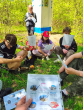 260425_Lesni-kaple_facebook_11_1