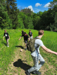 260606_Vir_facebook_03_1