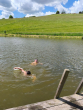 260606_Vir_facebook_07_1