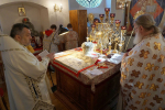 DSC06214_1_1