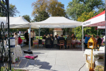 DSC06261_1_1